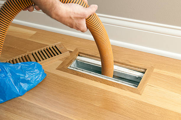 Best Affordable Duct Cleaning Services  in Bellingham, WA