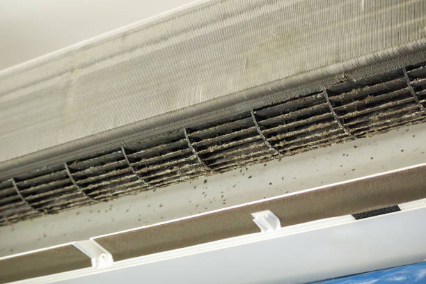 Best Emergency Air Duct Cleaning  in Bellingham, WA