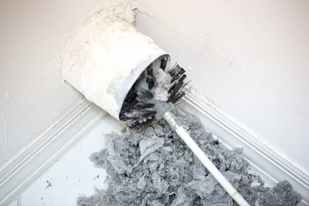 Best Home Air Vent Cleaning  in Bellingham, WA
